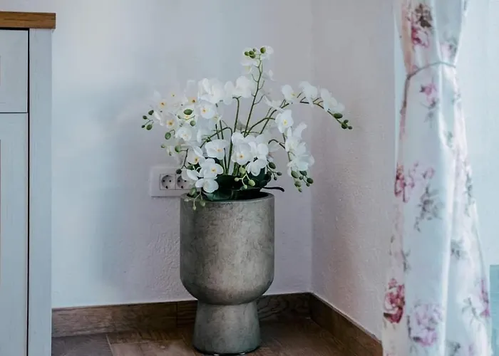 Lägenhet Sandra Donji Okrug (Ciovo)